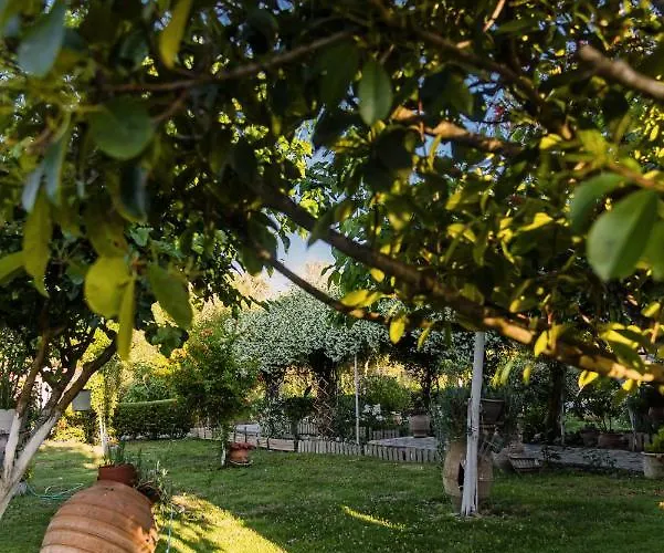 Vasiliki Apartament