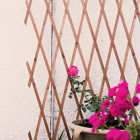Vasiliki Apartamento Lefkímmi