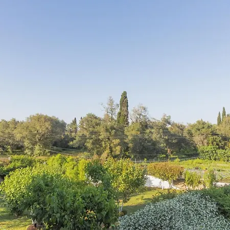 Vasiliki Apartman *
