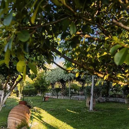 Vasiliki Apartamento